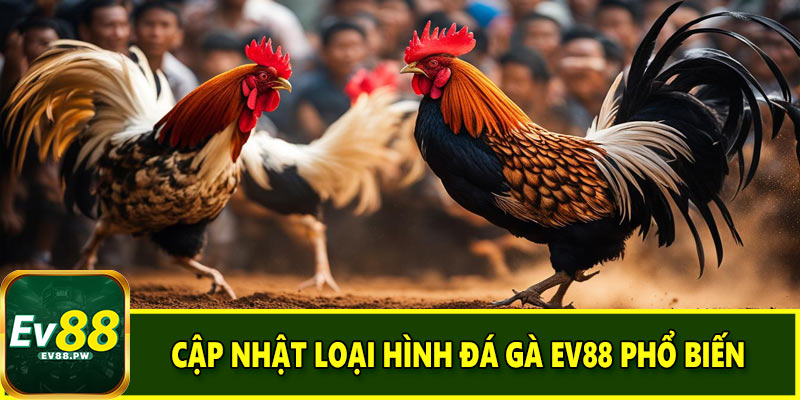Cập nhật loại hình đá gà EV88 phổ biến